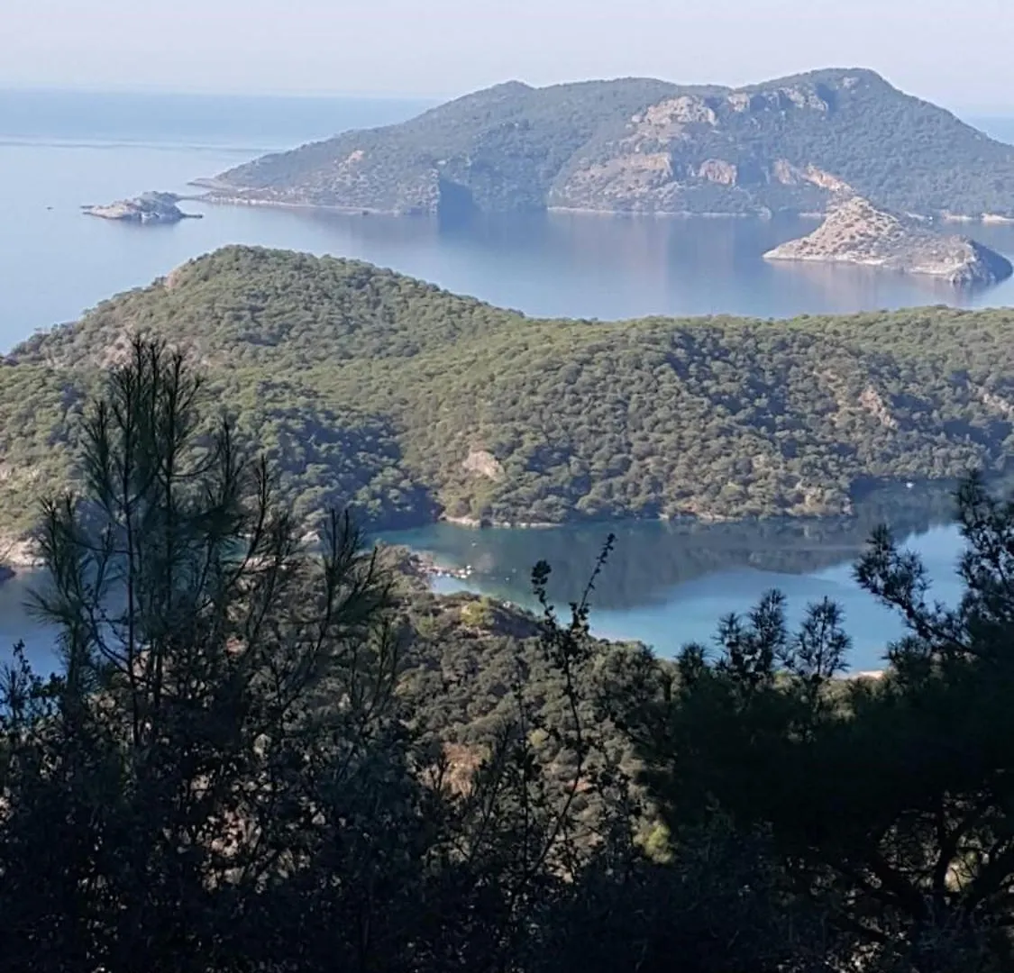 Dolphin Apartments Fethiye Tyrkiet
